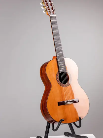 Gitar